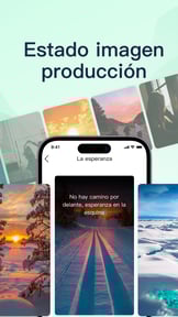 Whats Web & Whatsweb Business