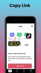 ReposterTik - Save Tik Video