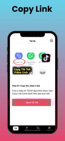ReposterTik - Save Tik Video