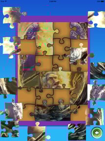 Fire Bible for Kids Companion