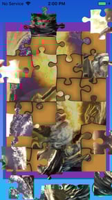 Fire Bible for Kids Companion