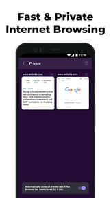 Wize Browser Fast Money