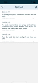 New Living Translation NLT