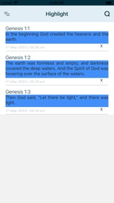 New Living Translation NLT