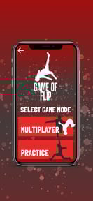 Game of FLIP
