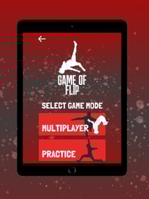 Game of FLIP
