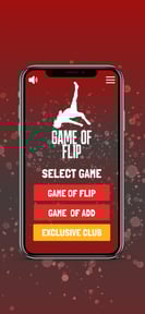 Game of FLIP