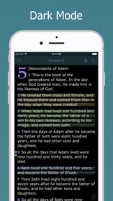 NASB Bible Holy Audio Version