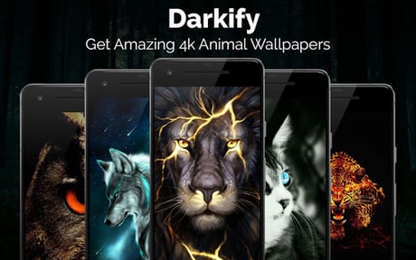 Black Wallpaper: Darkify