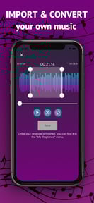 Best Ringtones : Top Music