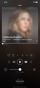 play:Sub Music Streamer