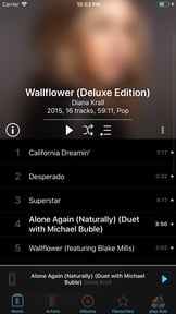 play:Sub Music Streamer