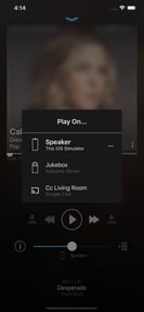 play:Sub Music Streamer