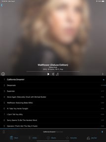 play:Sub Music Streamer