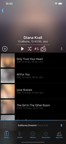 play:Sub Music Streamer