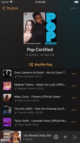 Offline:Music Player & Browser