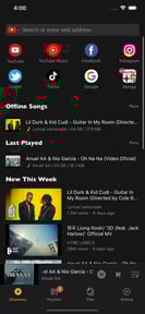 Offline:Music Player & Browser