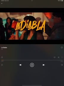 Offline:Music Player & Browser