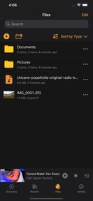 Offline:Music Player & Browser