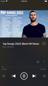 Offline:Music Player & Browser