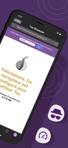 TOR Browser - Onion Web VPN