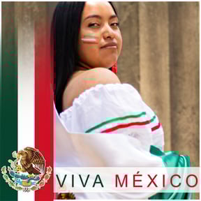 Mexican flag photo editor