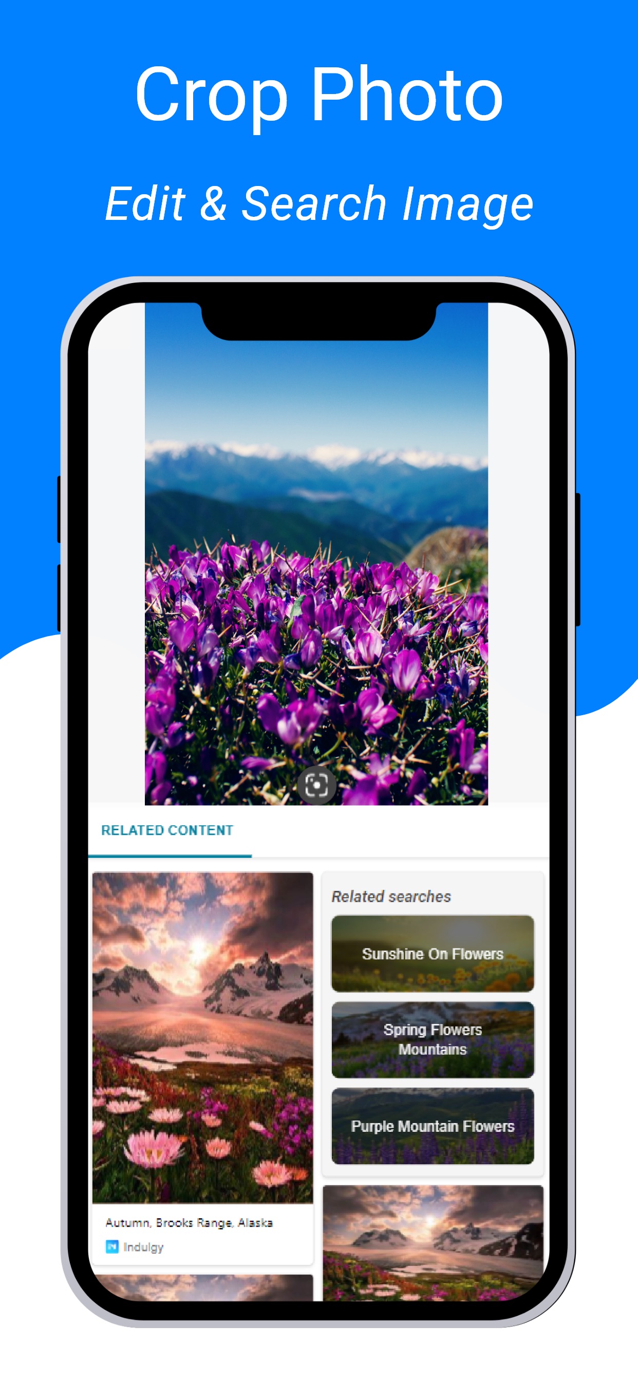 Image Recognition And Searcher