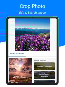 Image Recognition And Searcher