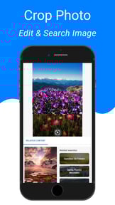 Image Recognition And Searcher