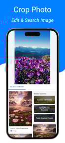 Image Recognition And Searcher