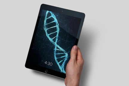 Wall.Engine Live Wallpapers 4K