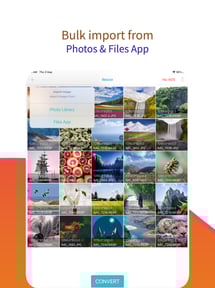 reduce image size - resizer