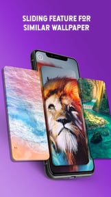 Live Wallpaper- 4k Backgrounds