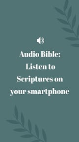 Study Bible with explanation