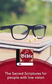 Large print Bible in english