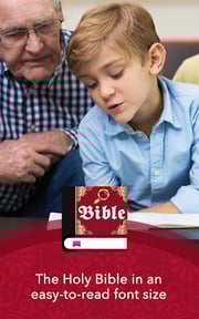 Large print Bible in english