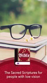 Large print Bible in english