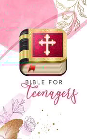 KJV Bible for teenagers