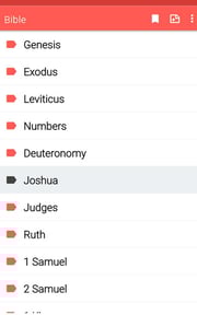 Amplified Bible offline