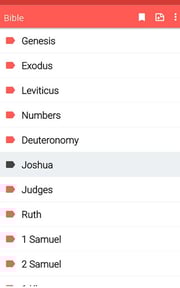 Amplified Bible offline