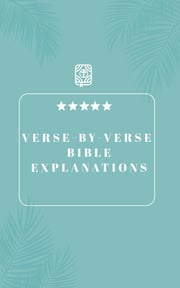 KJV Study Bible with concordan