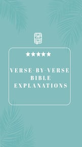 KJV Study Bible with concordan