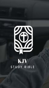 KJV Study Bible with concordan