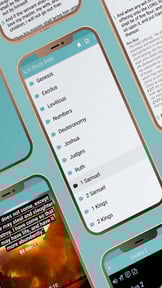 KJV Study Bible with concordan