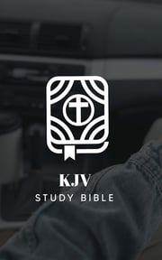 KJV Study Bible with concordan