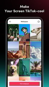 TikTok Live Wallpaper
