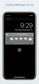 widget weather