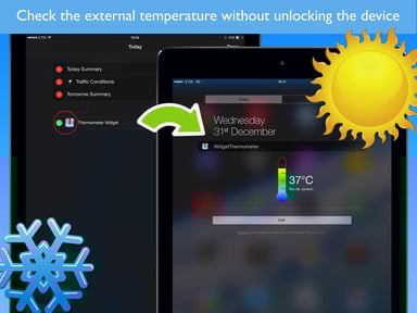 Widget Thermometer Pro