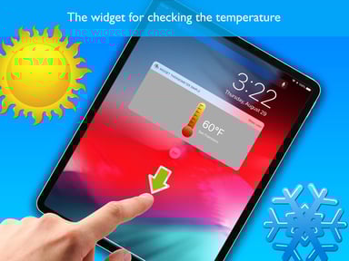 Widget Thermometer Pro