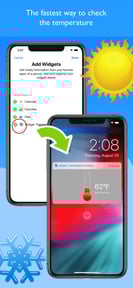 Widget Thermometer Pro